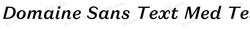 Domaine Sans Text Med Test字体转换